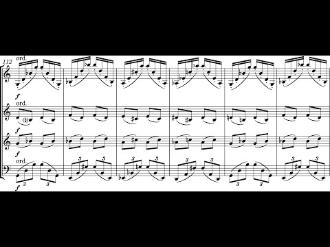 Kian Ravaei - The Little Things for String Quartet (2023) [Score-Video]