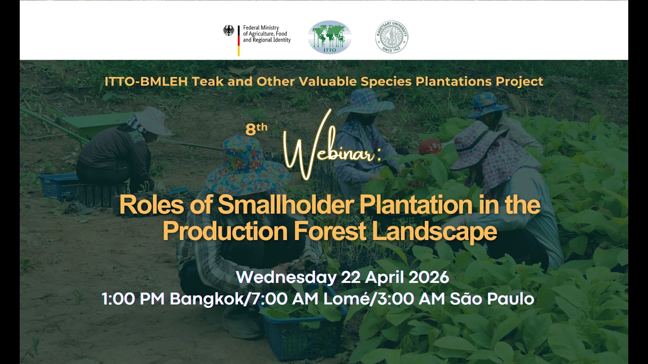 Roles of Smallholder Plantation in the Production Forest Landscape - ITTO/BMLEH Webinar 08