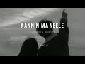 Kanninima Neele Slowed Reverb Anwar