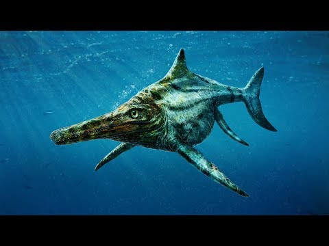 偶然発見:研究者が1億6000万年前のセンセーショナルな発見をする