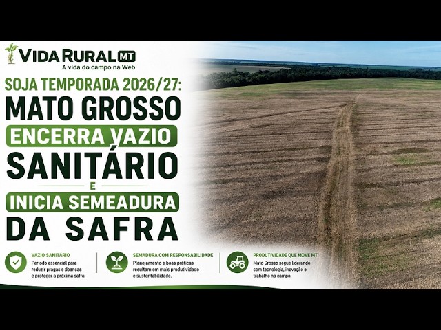 MATO GROSSO ENCERRA VAZIO SANITÁRIO E INICIA SEMEADURA DA SAFRA