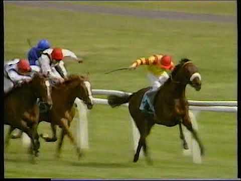 1991 Northumberland  Plate Tamarpour Includes Replay