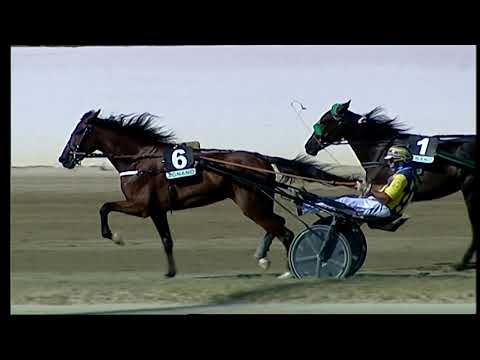 Napoli Trotto 24/09/2021 - 1ª corsa