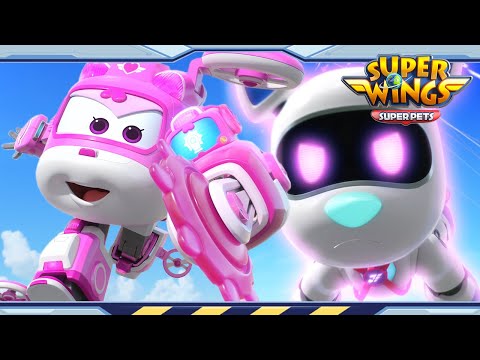 Witness21 Editor  2022 05 07