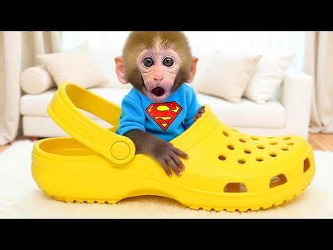 Monkey Baby Bon Bon goes to the supermarket to buy giant food and eats eggs with puppy