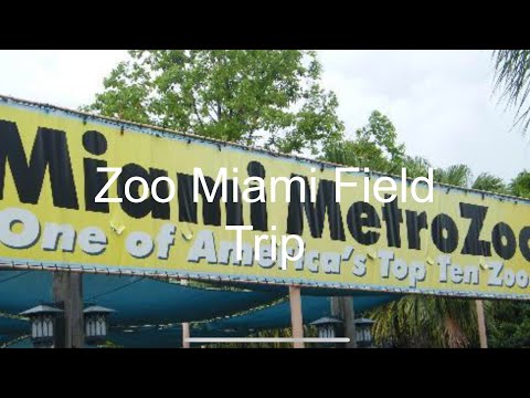 Field Trip Vlog: Zoo Miami