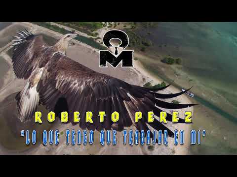 LO QUE TENGO QUE TRABAJAR EN MI / ROBERTO PEREZ DIAMANTE NETWORKMARKETING / ESTRENOS 2020