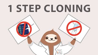 One-Step Multi-fragment Cloning with the Pro Ligation-free Cloning Kit