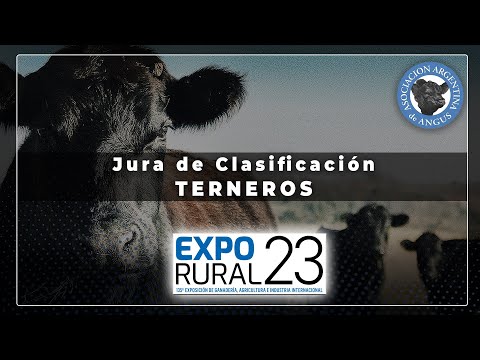 26-07-23 - 135º Exposición Rural de Palermo -  Jura Terneros Angus