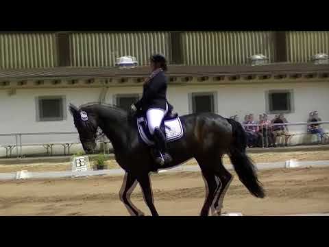 Denver von Diamond Hit - Fleurop Dillingen L8