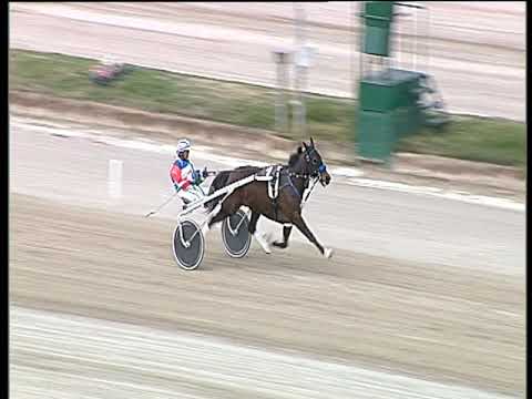 Trotto 07/04/2019 - prova di riqualifica