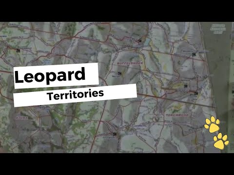 Highlights Tristan talks about leopard territories 7th Oct 2021