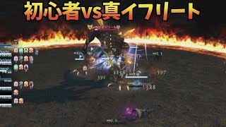 FF14初心者たちの真イフリート攻略