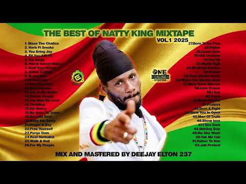 The Best Of Natty king Mixtape Vol.1 2025 by Deejay Elton 237