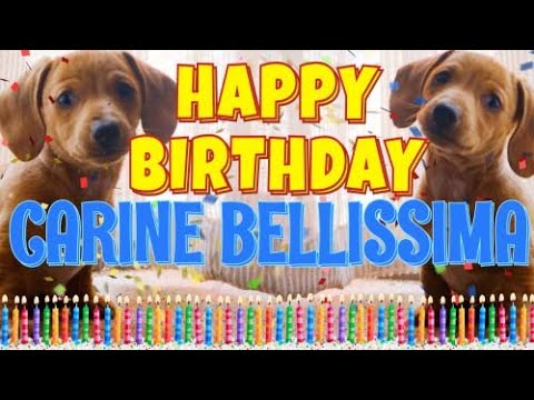 Happy Birthday Carine Bellissima! ( Funny Talking Dogs ) What Is Free On My Birthday