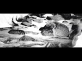 Wake Owl - Wild Country [Official Video]