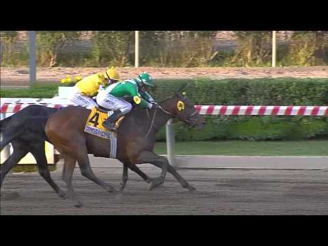 StLeger SONOBIANCONERO