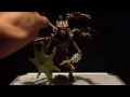 Skeleton Warriors Aracula