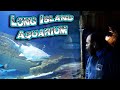 Long Island Aquarium Shark Dive Coupon