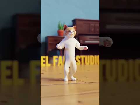 संबळ च्या तालावर मांजरीचा डान्स - Cute Cat Dancing