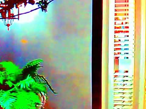 Many wild moves of James coburn from in like Flint 1967😄