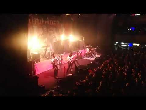 RUMAHOY- Harambe, The Pirate Gorilla / 11.01.2023 Brno Sono Centrum