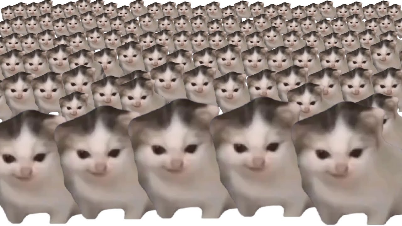 german cat x10000000