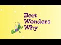 Sesame Street Bert Wonders Why Read Aloud Read Along Storybook
