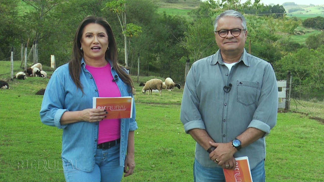 Momento Safeeds - O uso de aditivos em rações de animais