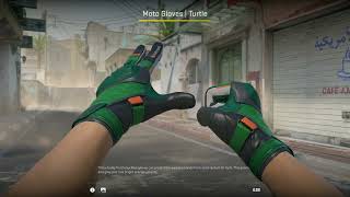 Gloves Turtle FN