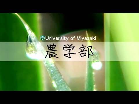 190034　宮崎大学農学部　全学科〈2019年8月改訂〉