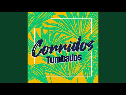 Contrabando Y Traición