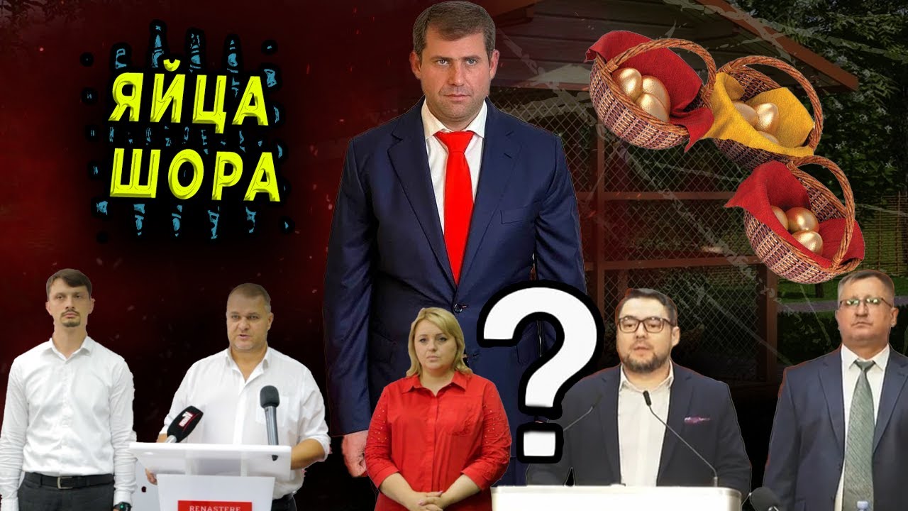 Nota bene. Куда Шор складывает свои яйца