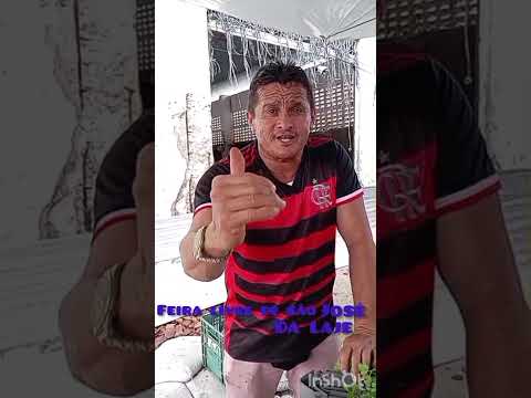 feira livre de são José da laje AL 28/03/2026