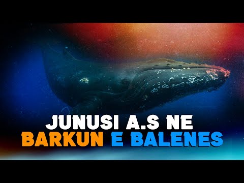 Junusi a.s - Historia e profetit qe ishte ne barkun e gjalleses se detit. Lutja Madheshtore