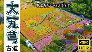 花舞童話‧桃園花彩節→大艽芎古道
