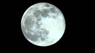 Dark Side Of The Star_Haruomi Hosono