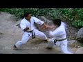 Bunkai Tekkis