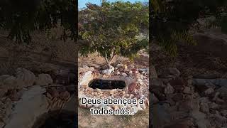 # #deusabençõeatodos # #fe # #caminhoparaumavidamelhor