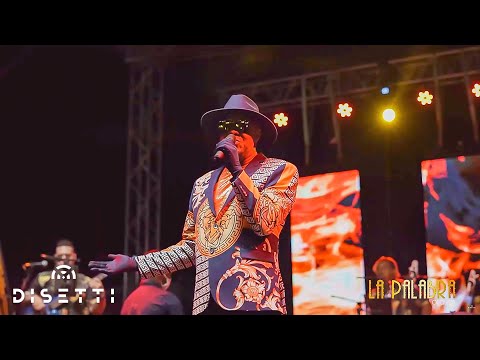 Orquesta La Palabra - No, No, No (En Vivo) | Salsa Romántica