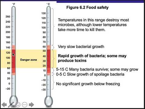 Ch 6 Microbial Growth Part 1