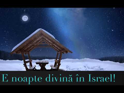 Puiu Chibici E noapte divina!