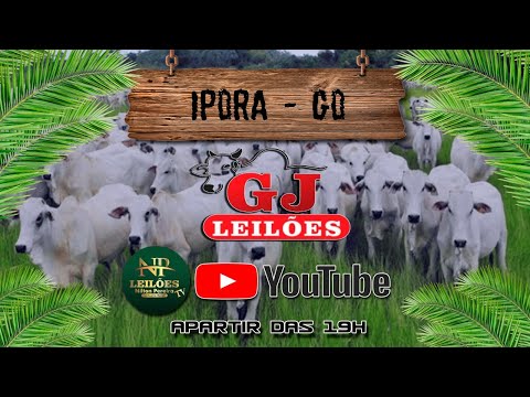 GJ LEILÕES - IPORÁ GOIAS 30/07/2026