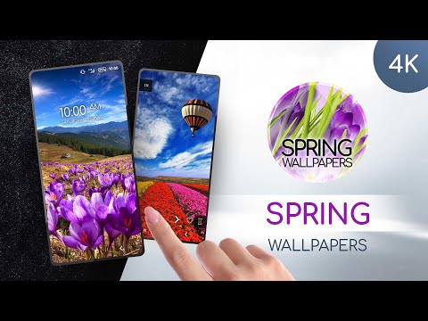 Wallpapers in the spring