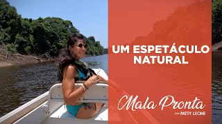 O fantástico nascer do sol no Rio Amazonas com Patty Leone | MALA PRONTA