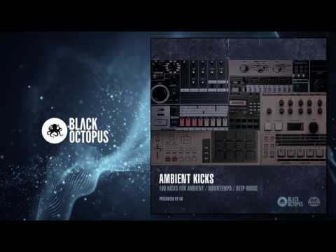 Free Download Ambient Kicks WAV-DiSCOVER