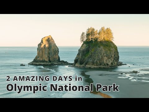 2 amazing days in Olympic National Park. Hurricane Ridge, Sol Duc Falls, Second beach and more
