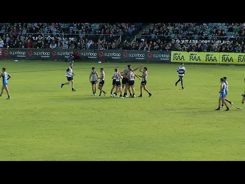 SANFL Round 9 highlights