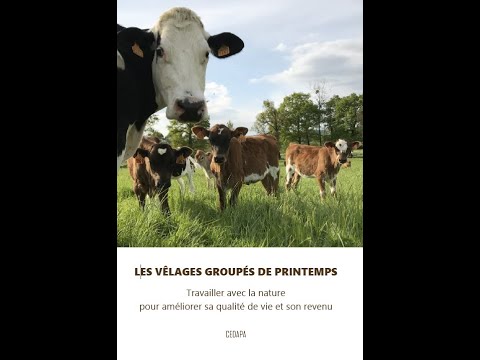 , title : 'Conférence - lancement du livre "Les vêlages groupés de printemps" partie#1'