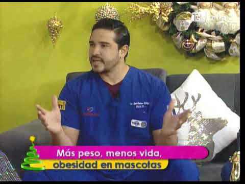 Más peso, menos vida, obesidad en mascotas 